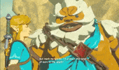 The Legend Of Zelda Link GIF