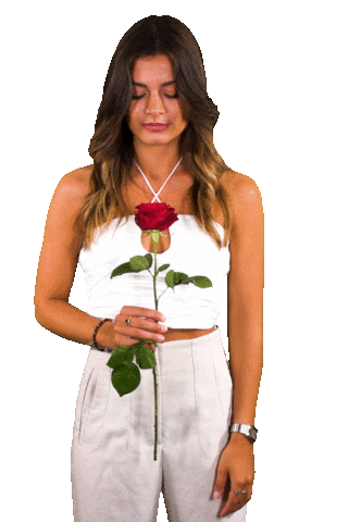 Rose Bachelorette Sticker by RTLde