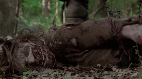 The Walking Dead Zombie GIF by netflixlat