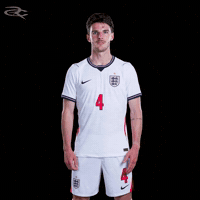 Fifa World Cup England GIF by Respective