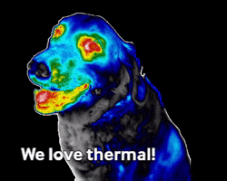 Digatherm thermal thermography digatherm we love thermal GIF