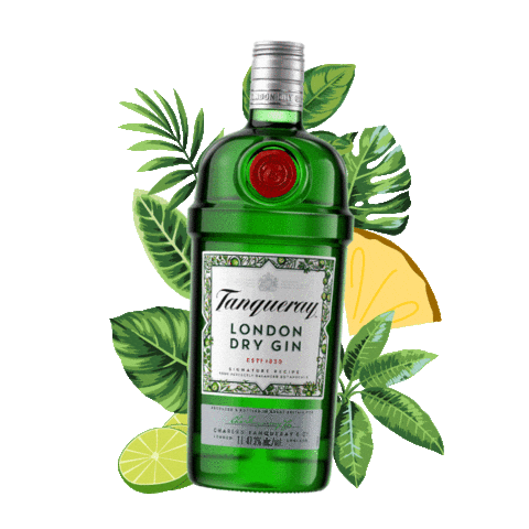 Tanqueraymx giphyupload Sticker