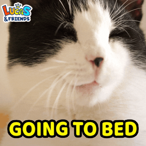 Good Night Sleeping GIF by Lucas and Friends by RV AppStudios