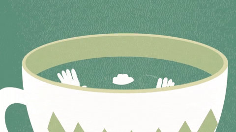 guideki giphygifmaker GIF