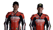 Honda Check Sticker by MotoGP™