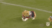 National Football League GIF by NFL