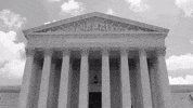 Voting Rights GIF by When We All Vote