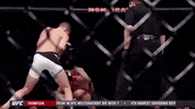 stephen thompson ufc GIF