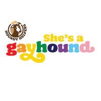 Pride Greyhound Sticker by Houndy Helpers NZ