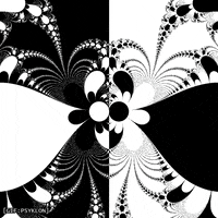 Loop Flower GIF by Psyklon