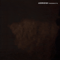 Arnold Schwarzenegger Film GIF by Arrow Video