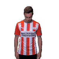 Celebration No Sticker by PSV