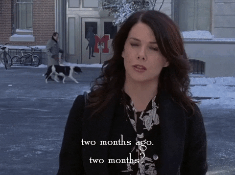 season 6 netflix GIF by Gilmore Girls 