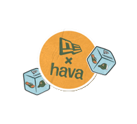 Newera Sticker by Havaianas