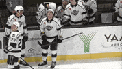 Reignhockey GIF by Ontario Reign