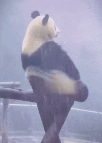 GIF by Martin