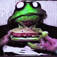 Ai Wtf GIF by davidvnun