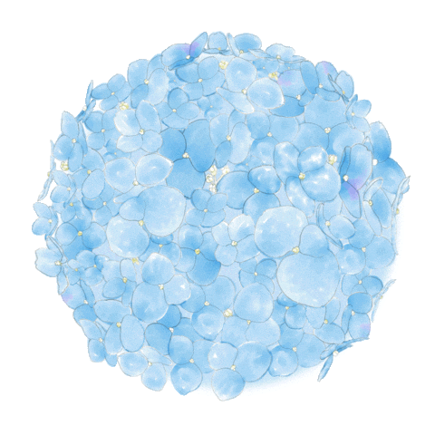 Ru66ishGame giphyupload ball turn hydrangea Sticker