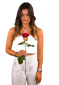 Rose Bachelorette Sticker by RTLde