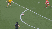 Celebration Goal GIF by Football Australia