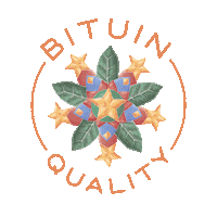 Christmas Star Sticker by PAPEL DE LETRAS