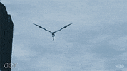 GIF by Game of Thrones