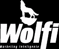agenciawolfi marketing wolfi agenciawolfi GIF