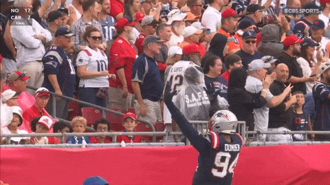Football Celebration GIF by New England Patriots
