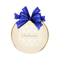Christmas Holiday Sticker by sulwhasoo.kr