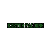 ExeterFalcons falcons americanfootball flagfootball exeter Sticker