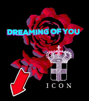 IconJewels love icon crush boyfriend GIF