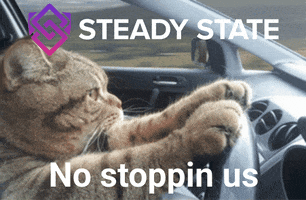 Crypto No Stop GIF by Steady State