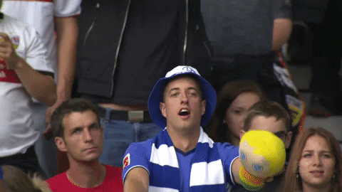 Football Go GIF by FC Schalke 04
