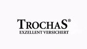 Versicherung GIF by TrochaS