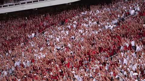College Football Hogs GIF by Arkansas Razorbacks