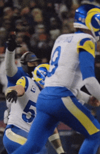 Los Angeles Rams Football GIF