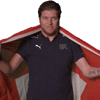 Swiss Flag Switzerland Sticker by Swiss Football Association