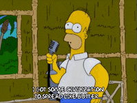 homer simpson GIF