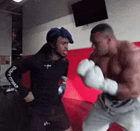 Boxing Put Them Up GIF