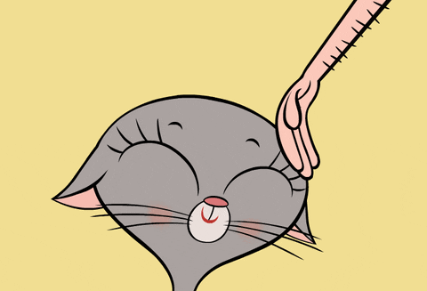 Cat Love GIF by ZIP ZIP