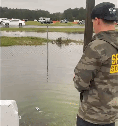 Alligator Chomps Remote Control Boat at Florida Drag Race