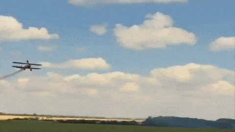 GIF by Supercompressor