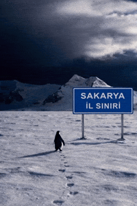 Ada Sakarya GIF