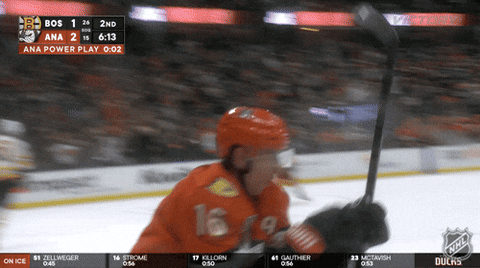 Happy Anaheim Ducks GIF by NHL