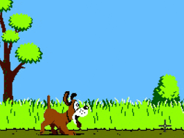 Video Games Duck Hunting GIF