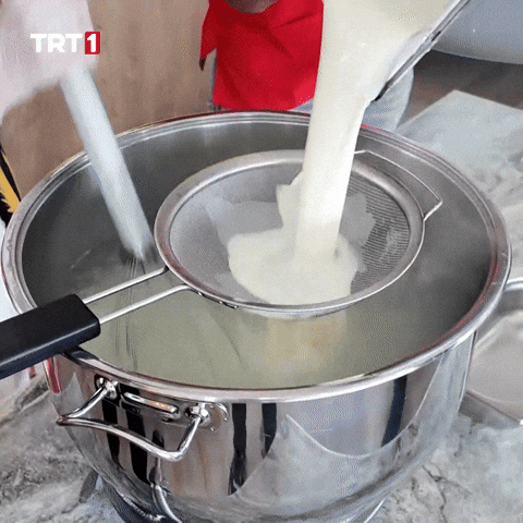 Go Back Cooking GIF by TRT