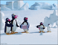 Family Time GIF by Pingu