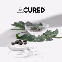 CuredNutrition stress cbd shrooms hemp GIF