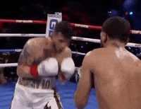 toprank fight boxing fighting espn GIF