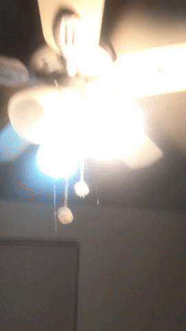 Water coming through lighting fixture and fan!